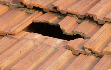 roof repair Merle Common, Surrey